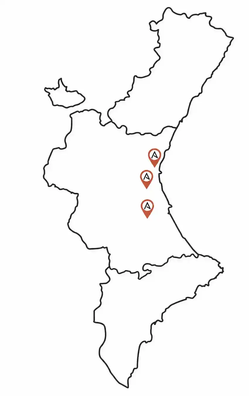 Mapa de ubicaciones de AELE en Valencia, Beniparrell y Alzira